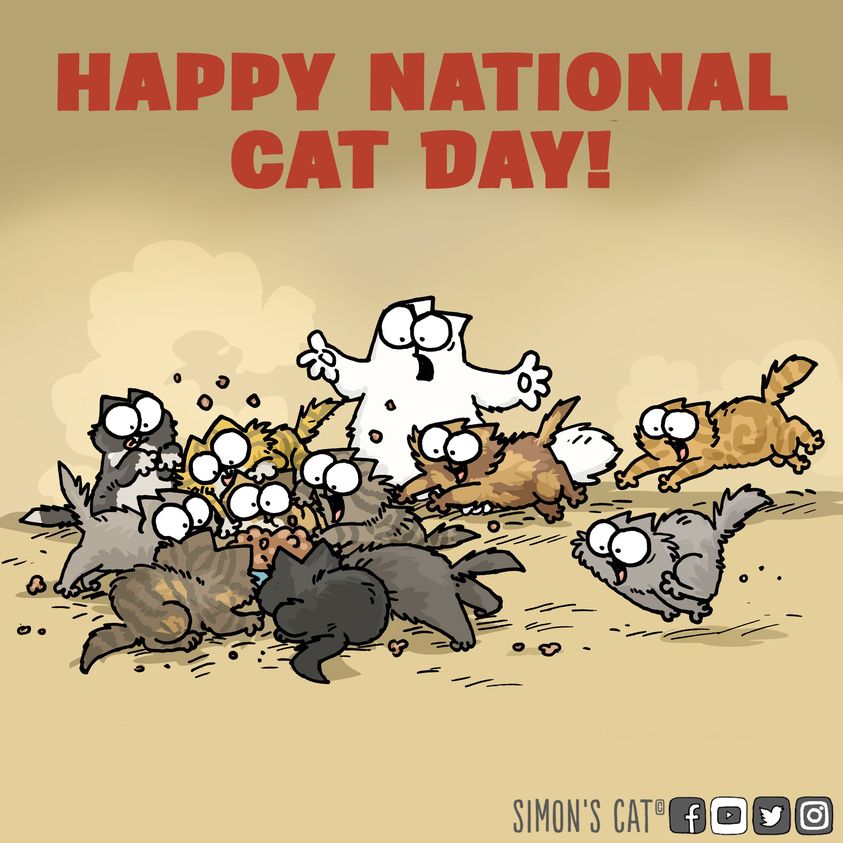 Happy #CatDay ! 😺Showcase your kitties below.