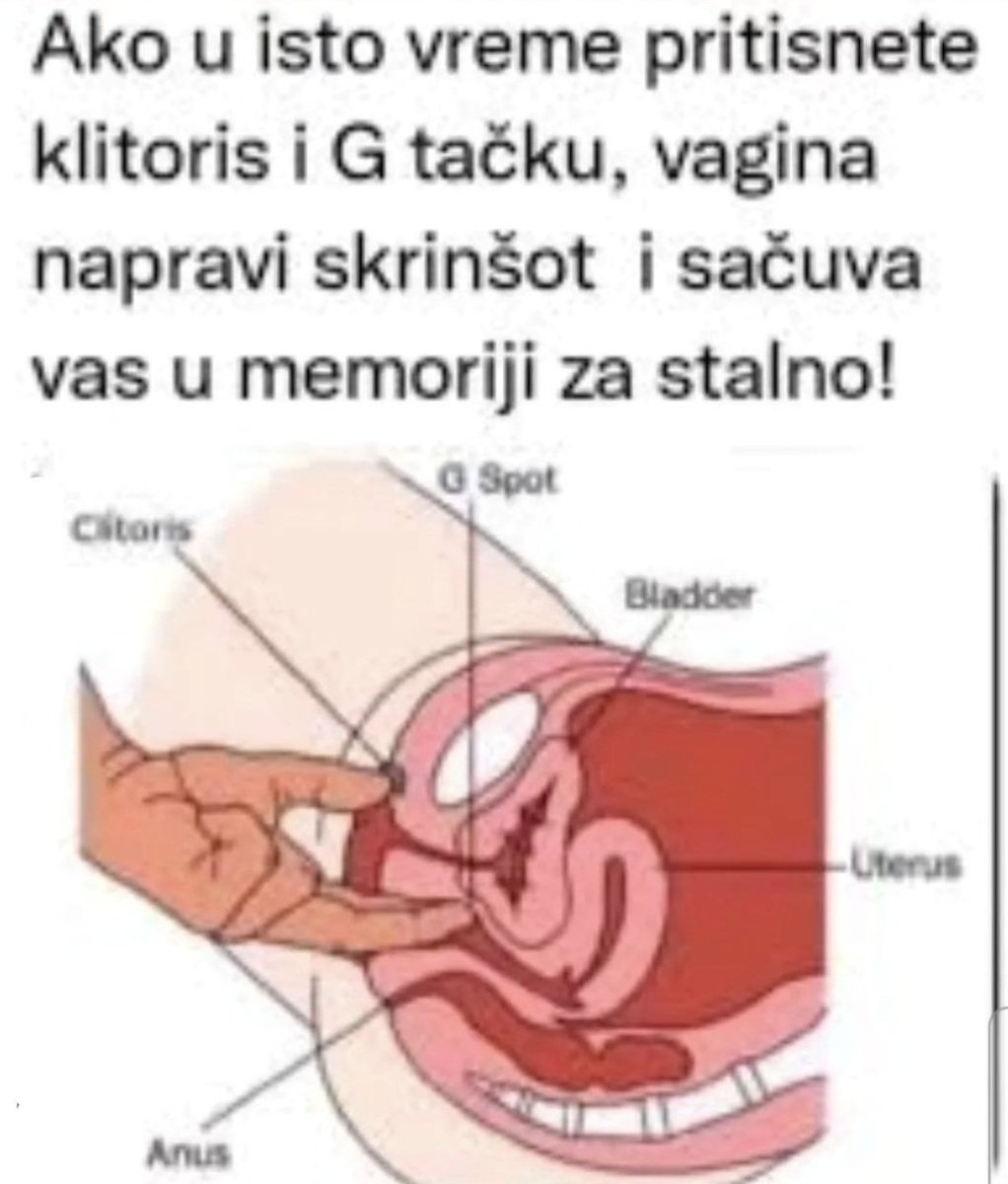 Богат албум имам