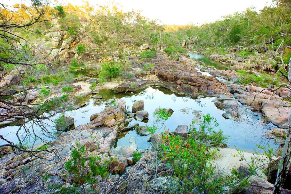 “Researchers released 4,000+ Running River rainbowfish into Deception Creek and Puzzle Creek in a last-ditch attempt to save the species, which was at risk of being hybridised out of existence.”

Find out more 👉 bit.ly/AWC-RunningRai…

📷 W Lawler/<a href="/awconservancy/">Australian Wildlife Conservancy</a> 🌈🤙🏽