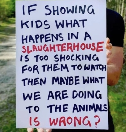 Vegan Future (@veganfuture) on Twitter photo 