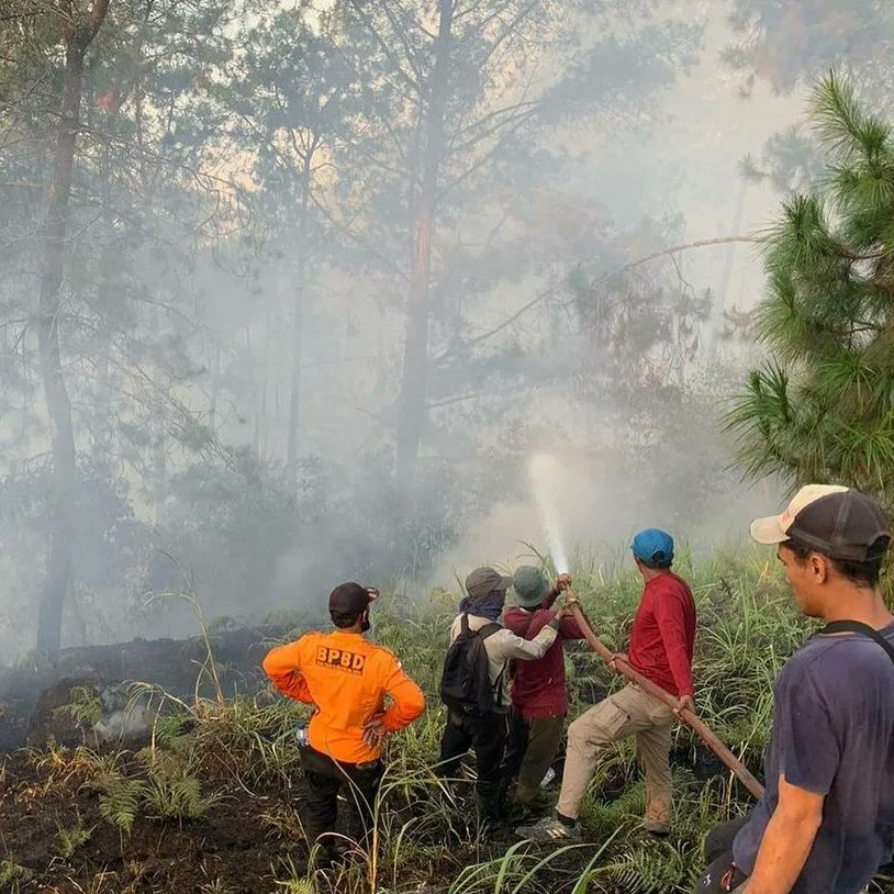 Merbabu Kebakaran, semua jalur Pendakian ditutup