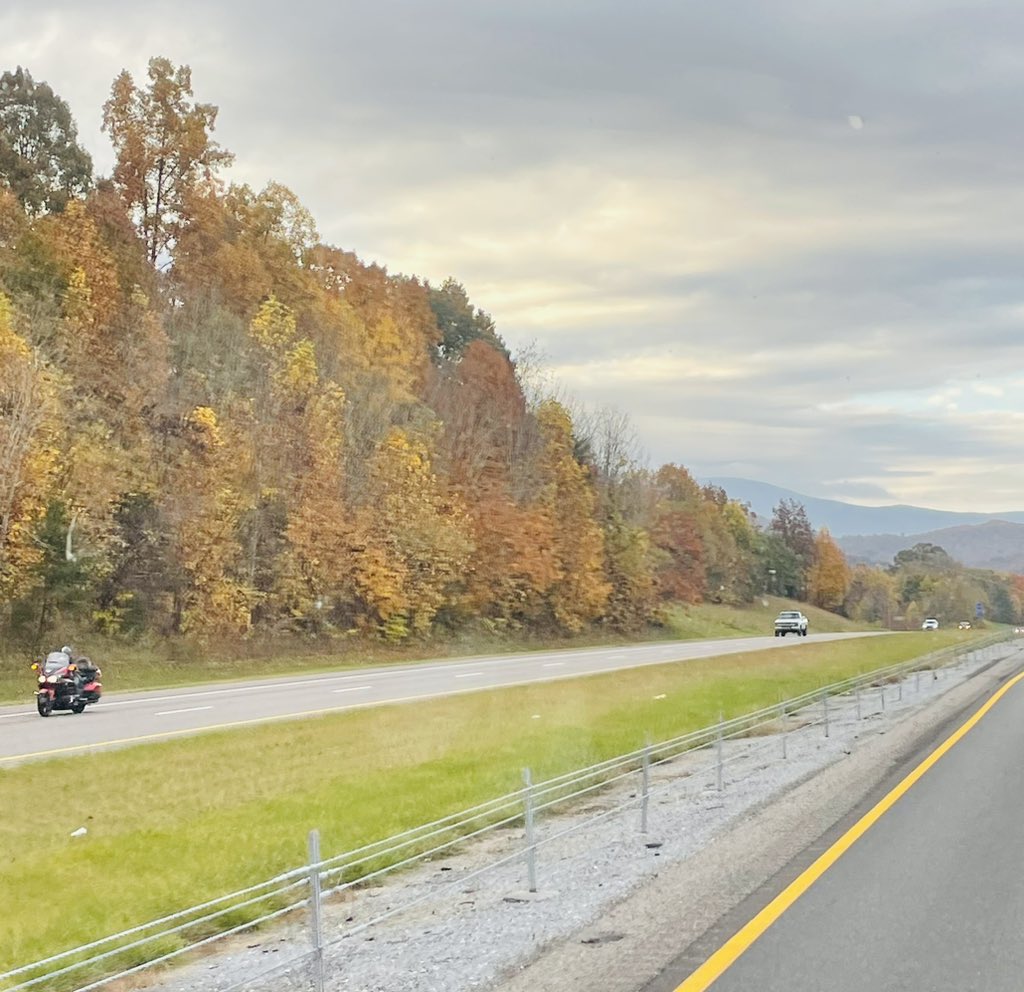 snowdle_wx's tweet photo. The Fall colors in the North Carolina mountains around Asheville on the way to Greenville-Spartanburg are in full force today on the 28th! Looking fantastic! Fall is such an underrated time of year.
#FallFoliage
#WNCwx
#FallWx
@spann https://t.co/sCdkUJLIZT