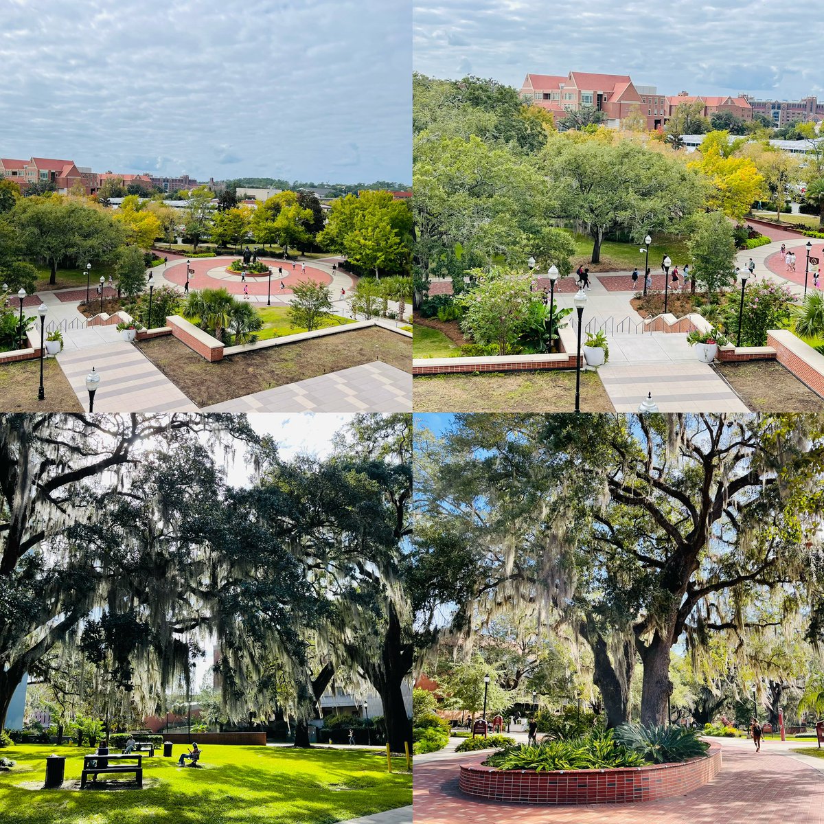 Lingjun Li (@lingjunli2) on Twitter photo A great seminar visit <a href="/ChemistryFsu/">FSU Chemistry & Biochemistry</a> this week. Many thanks to my host <a href="/BleiholderFSU/">Bleiholder Group</a> for the hospitality and stimulating discussions. I also had a great tour <a href="/NationalMagLab/">National MagLab</a>, a timely visit for the Golden Anniversary Symposium of FTICR honoring Alan Marshall. A great seminar visit <a href="/ChemistryFsu/">FSU Chemistry & Biochemistry</a> this week. Many thanks to my host <a href="/BleiholderFSU/">Bleiholder Group</a> for the hospitality and stimulating discussions. I also had a great tour <a href="/NationalMagLab/">National MagLab</a>, a timely visit for the Golden Anniversary Symposium of FTICR honoring Alan Marshall.