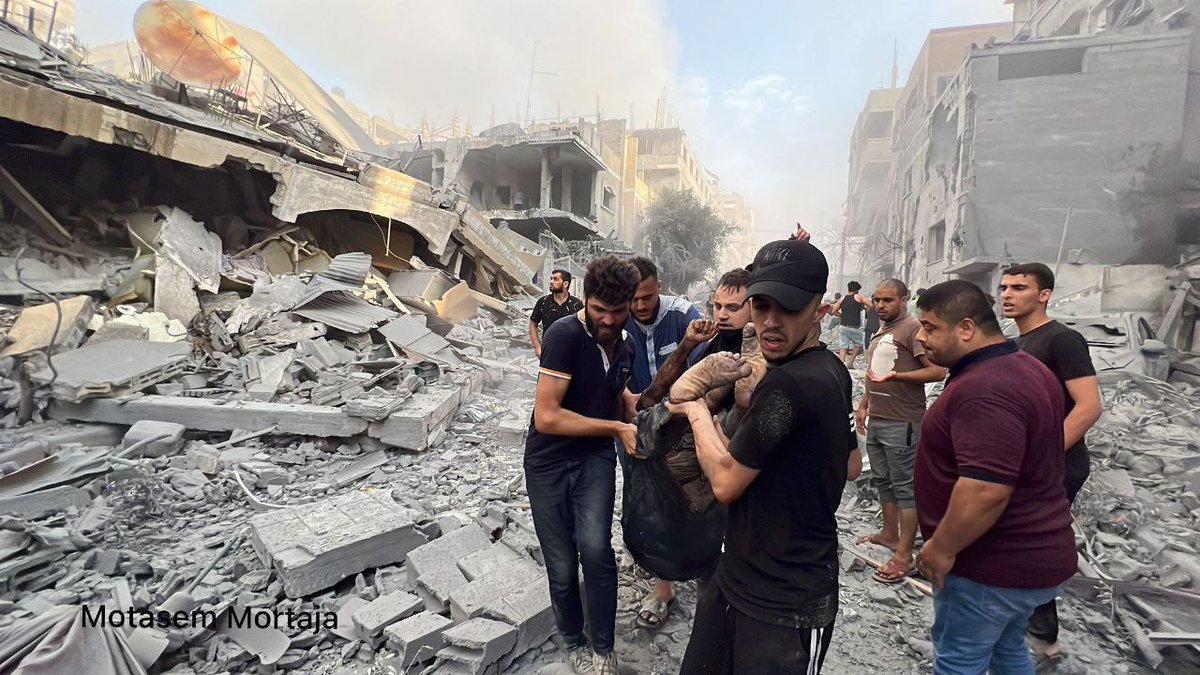 TIMES OF GAZA tweet media