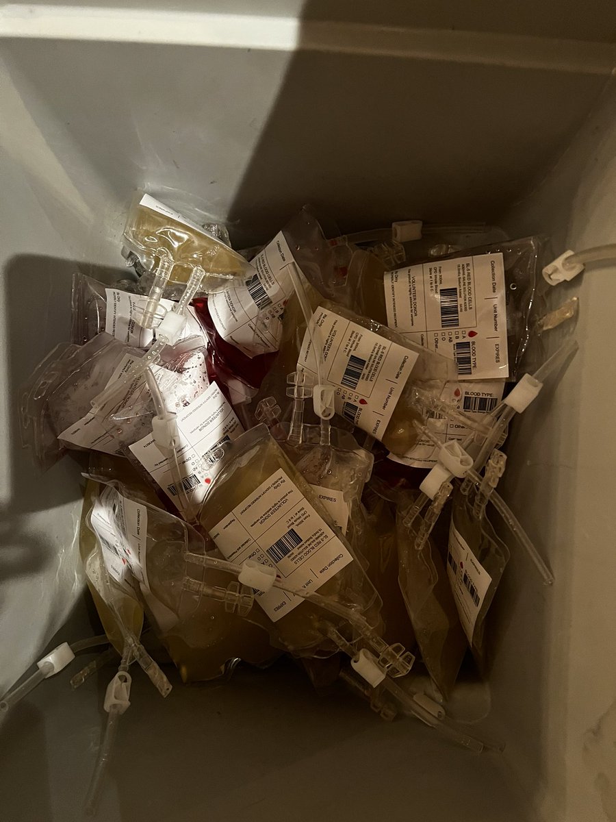 Lauren Rissman tweet media