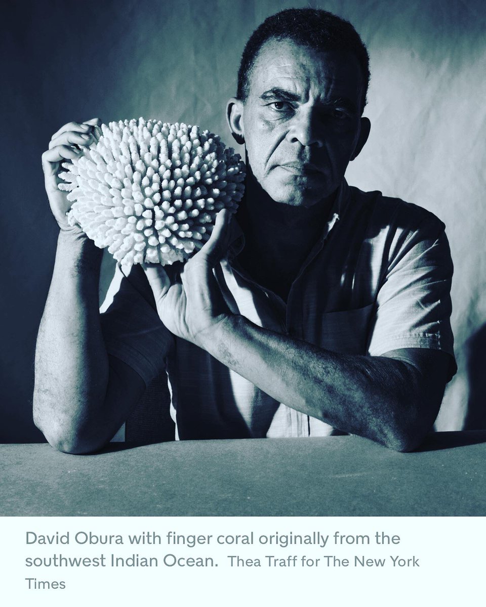 Nell Freudenberger tweet media