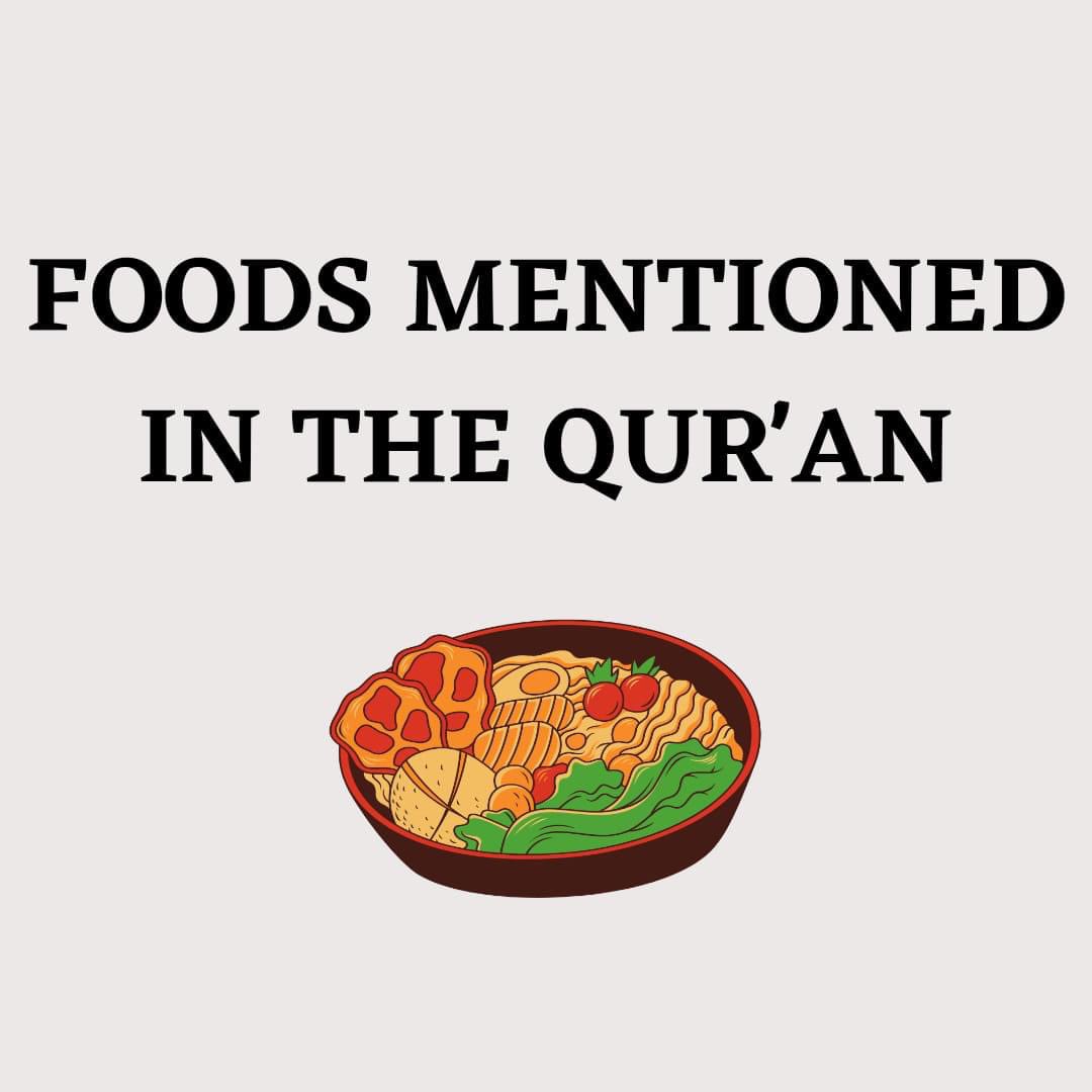 onetime_line's tweet photo. Foods mentioned in the Quran https://t.co/KvZBYcIs5p