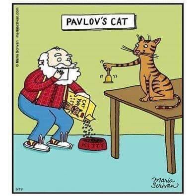 Arylene Murphy. tweet media