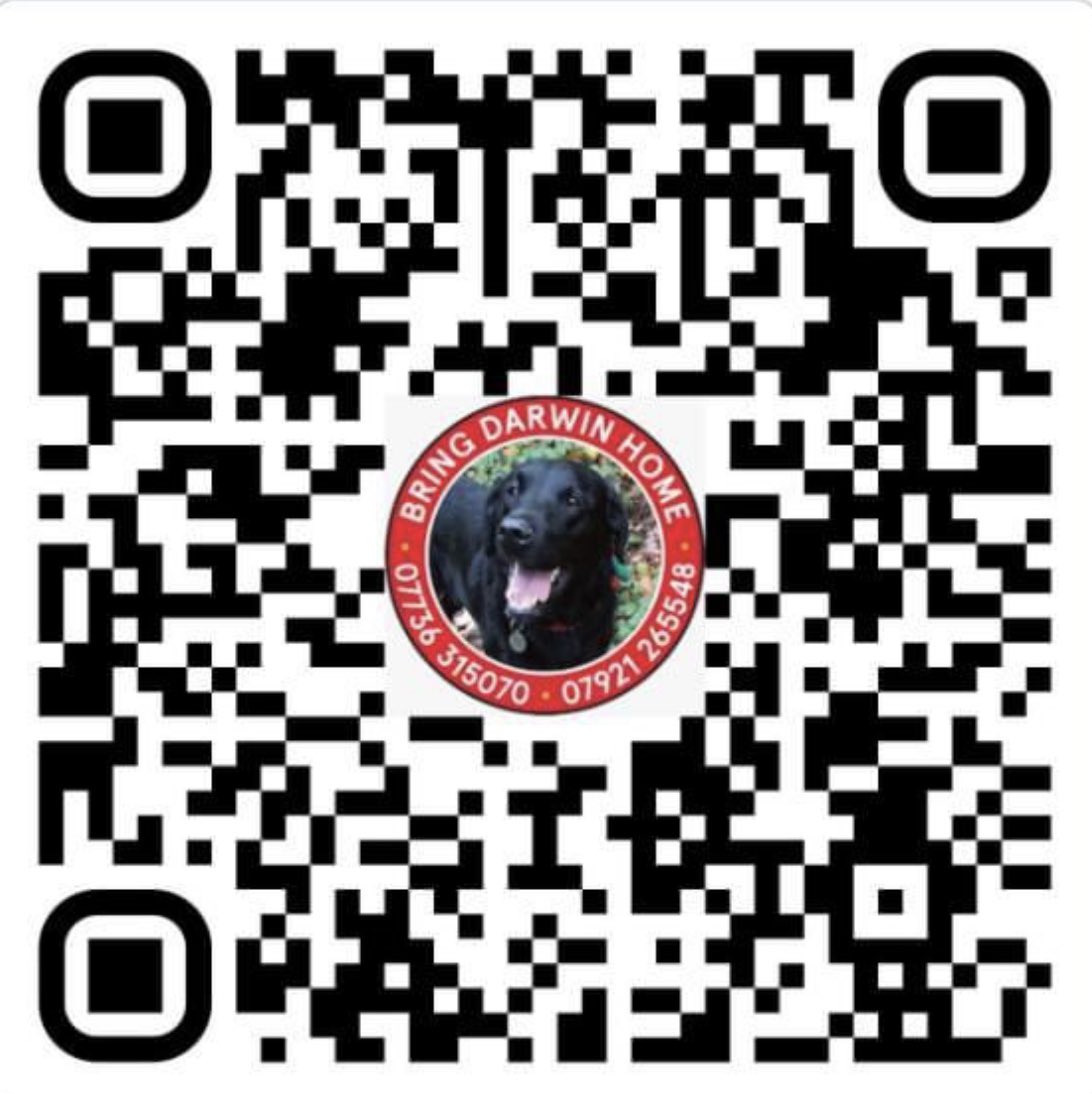 Darwin the black #labrador, a much loved member of the #canicross family, has been missing since Sept. He’s got a distinctive black spot on his tongue. Pls check out his QR code for more details & RT to make him #TooHotTooHandle