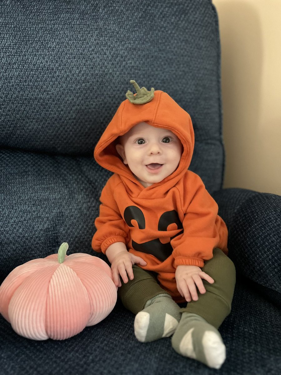 Katy Dionello tweet media