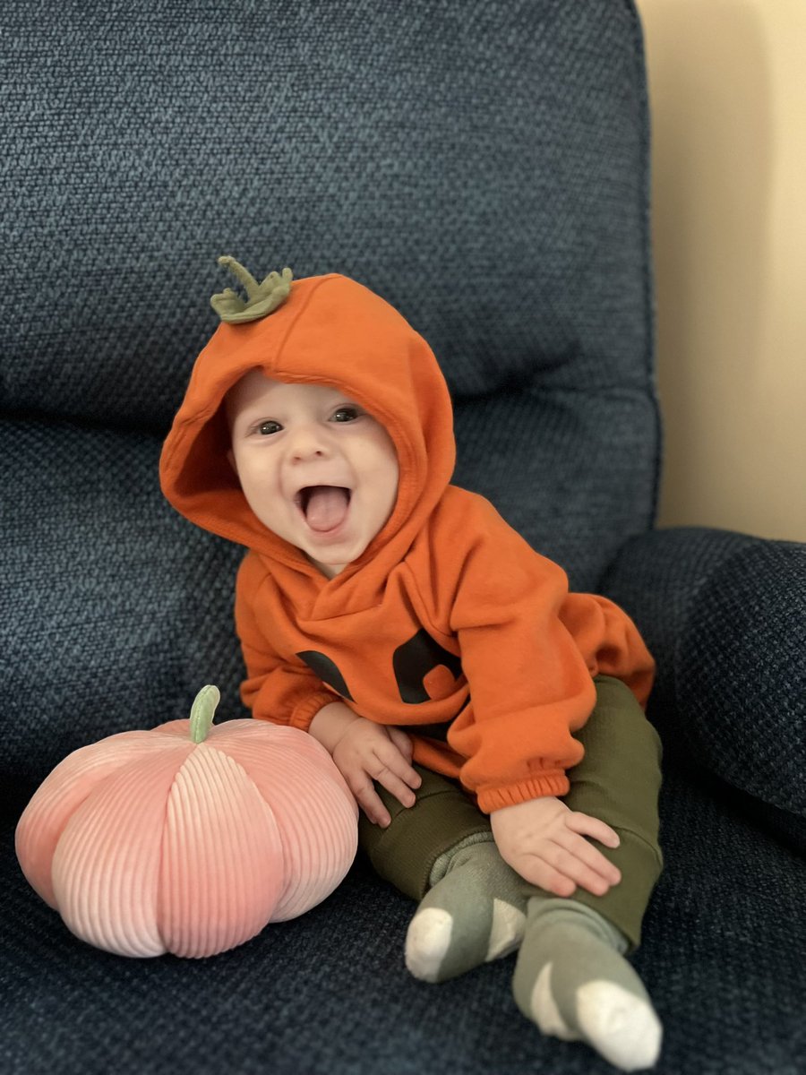 Katy Dionello tweet media