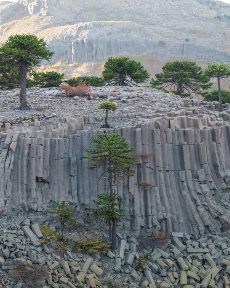 Cascadas del Río Agrio. Caviahue. Pcia de Neuquén