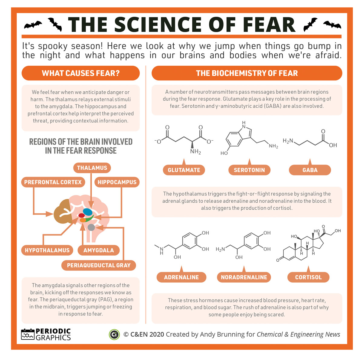 cenmag's tweet image. To get a better understanding of how your body reacts when scared, we’ve got to dive into the #chemistry of it all. Perhaps if you can master your own physiology, you’ll be prepared for this #Halloween! cen.acs.org/biological-che…