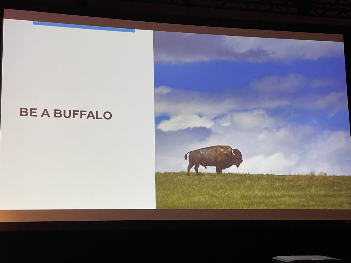 @RahmaWarsameMD @MayoGRIT Buffalo face a thunder storm and do so with their herd. Find your herd of people who will support you during the difficult times. #MayoGRIT @MayoGRIT