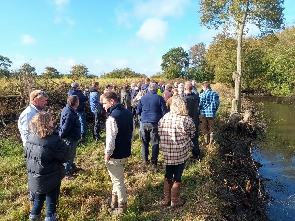 A good day with a farm cluster meeting in N Essex, discussing and looking at pond restoration. A Kingfisher and a Hen Harrier added encouragement.