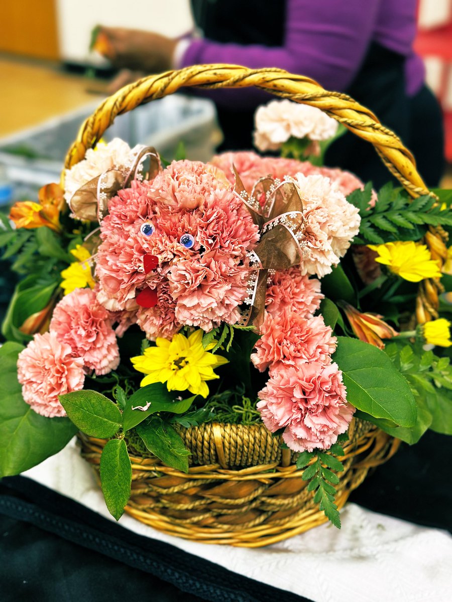 Katie Knapp tweet media