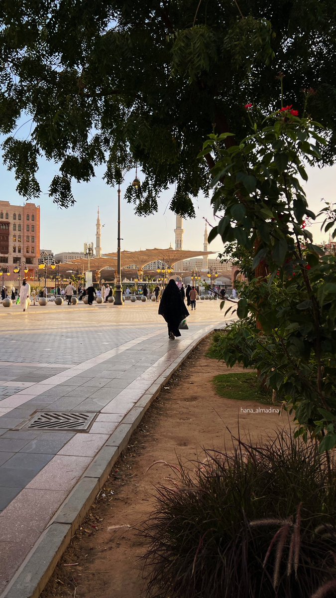 hana_almadina's tweet photo. يا أهل المدينة عليكم نور ، والسعد حل بواديكم ... دام النبي عندكم منصور ، وحطت رحاله أراضيكم ... والصحب كاللؤلؤ المنثور  ، عاشوا وماتوا حواليكم ... وأخلاقكم ذكرها مشهور ، طيبة وطابت معانيكم ... يا طيبة الخير أرض النور ، أشواق قلبي تناديكم .. https://t.co/wAcrYuLVLA