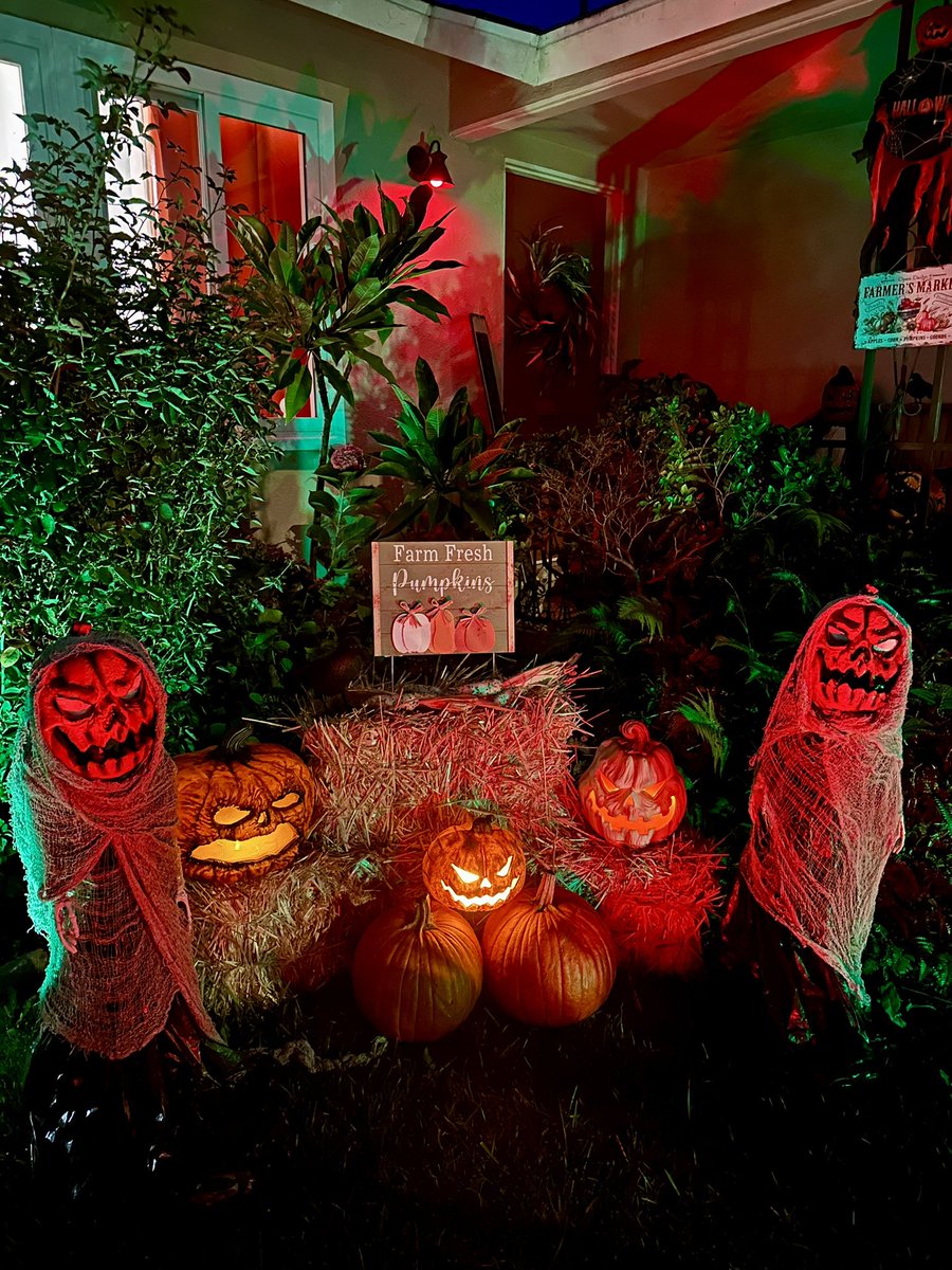 MoniCute72's tweet photo. My custom made #Halloween decorations this year

So the story goes…the pumpkins got fed up with being harvested &amp; carved into creepy jack-o-lanterns, so on a bitterly cold night, they turned on the farmer &amp; his wife &amp; carved them up instead… 😱🎃🔪🩸 #EvilHarvest #BadSeeds https://t.co/Hor6VQrhKu