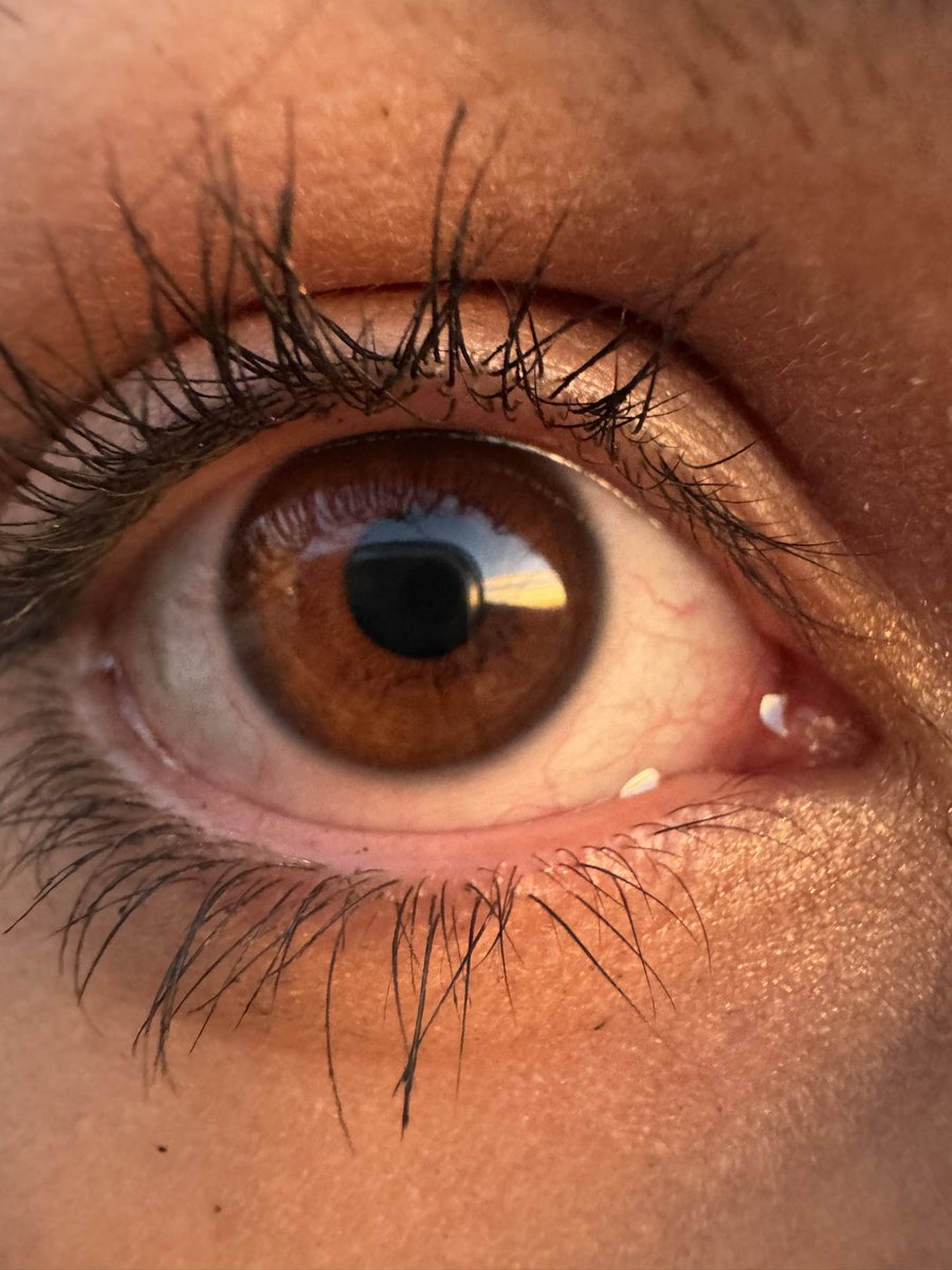 سُلی tweet media