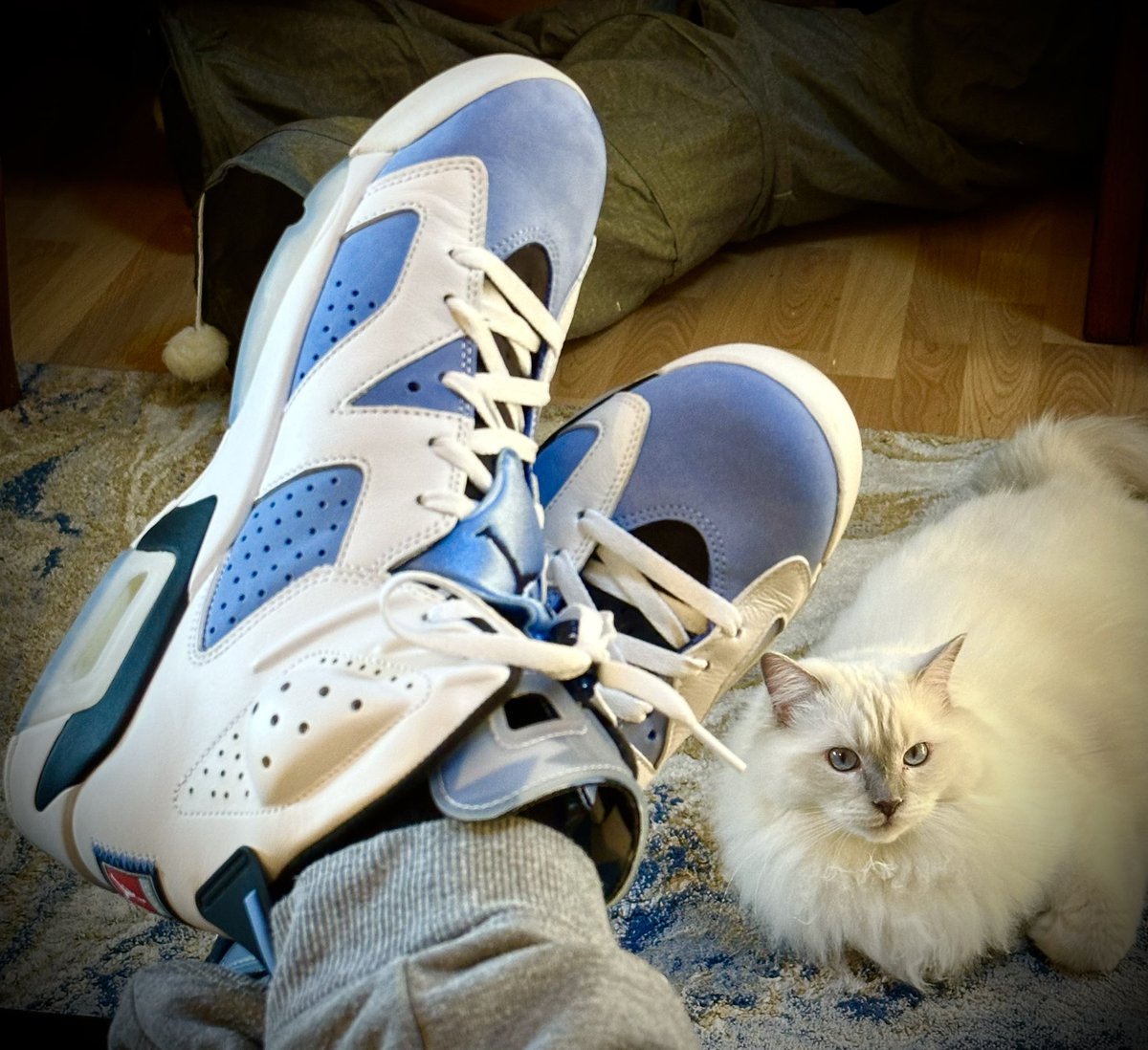 DJKingJam's tweet photo. #KOTD 🔥💎🔥
Kept it with the 6’s today in theme with my mail call this morning.
Hey @jerktherobot, how bout the girl in the background… perfect match! 💯
#CatsAndKicks #MsBlueEyes
@Jumpman23 @nikestore #yoursneakersaredope #snkrsliveheatingup #snkrskickcheck #wdywt #AJ6 #UNC6 https://t.co/KQvemI26hp
