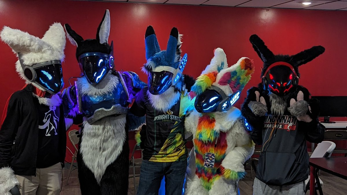 Had a great time with these awesome protos at @ArcadeLegacyOH this past Friday!
#flapnyap #FursuitFriday