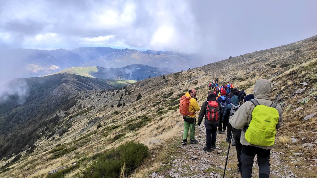 SenderismoGuada's tweet image. Espectacular día en las primeras jornadas Montañeras del Parque Natural Sierra Norte de Guadalajara.

Hemos estrenado el nuevo flamante sendero PR GU 25 Subida al Pico del Lobo. 😍

@caminosgu