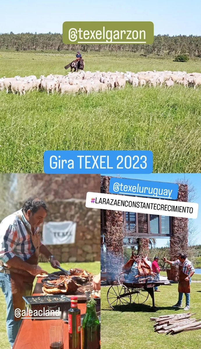 Gira Texel 2023 cabaña La Bettina de agroland. <a href="/BodegaGarzon/">Bodega Garzón</a> 
#larazaenconstantecrecimiento
