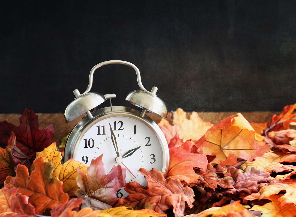 VitaPaws's tweet photo. Don't forget to turn those clocks back tonight and get ready for that extra hour in bed on Sunday morning!
#bestdayever https://t.co/drNoGV7NFQ