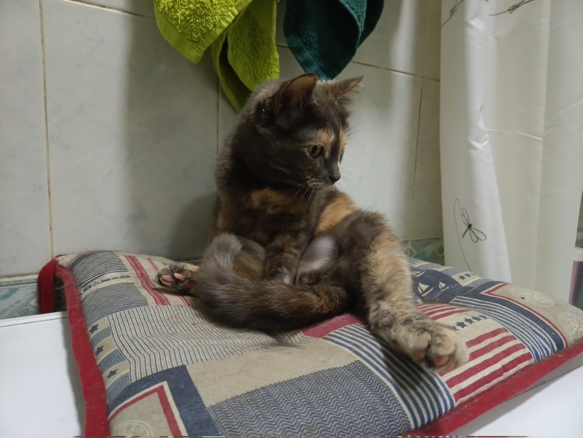 WindwalkerD's tweet image. Це мала Гадюка.