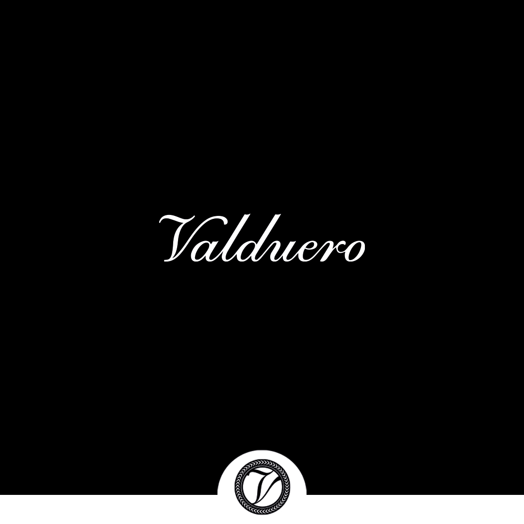 Valduero Blanco Gran Reserva 2015
Albillo Mayor
El vino que revela el asombroso potencial de guarda de los vinos blancos hechos de esta variedad en Ribera del Duero, compitiendo con los mejores blancos del mundo borgoñas, Riesling...
#BodegasValduero #BlancoGranReserva