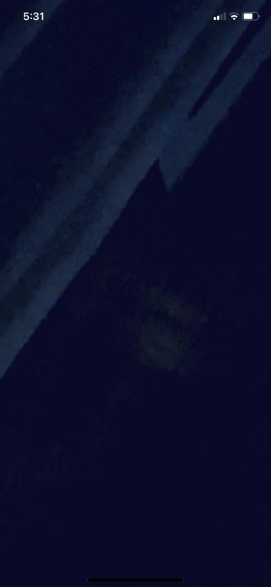 lindalb33's tweet photo. @BillyTolley  What do you think of these photos I took? https://t.co/fsUgbNrlsN
