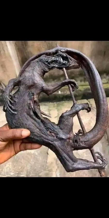 Kingbenii1's tweet image. Rich man pikin go think say na Mortal Kombat 

Top G Postinor Gaza #furyvsngannou  Nketiah #knorrjollofest #summitconference Bellingham #Summit2023 Adeboye Harry Kane #BriiRetro24  #Whitemoney Jim iyke Fermin #StarlinkGaza #triumphant