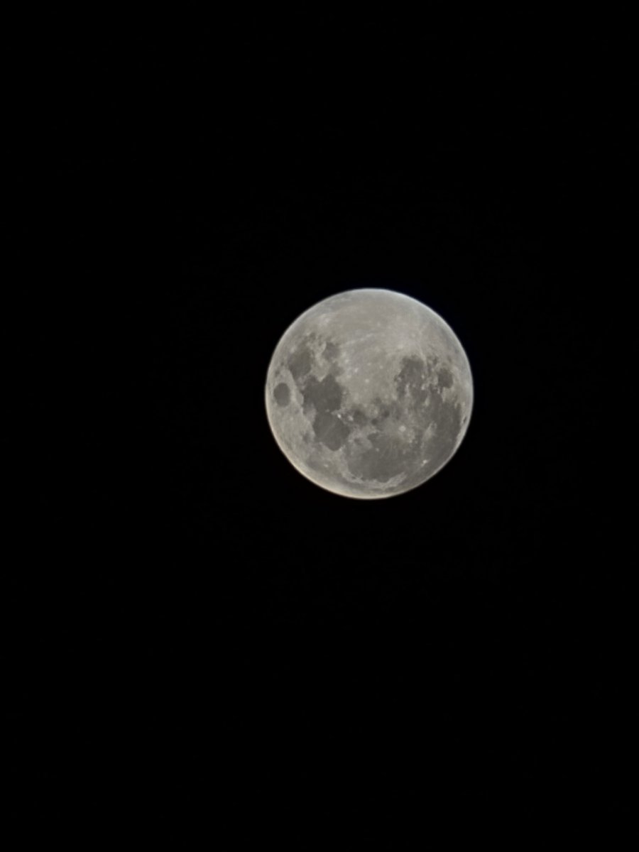JamforMoney's tweet photo. Posting a picture of the moon every night night #32

#moon  #moonpics #moontonight #moonlight #love #night #photography #nature #luna #sky #art #stars #fullmoon #space #sky #photooftheday #nasa #moonphotography #instagood #nightsky #aliens #astronomy https://t.co/LplfAqjGc1