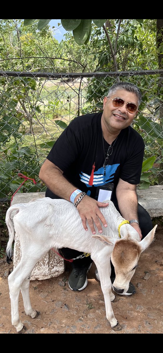 seriousfunnyguy's tweet image. Sunglasses 😎