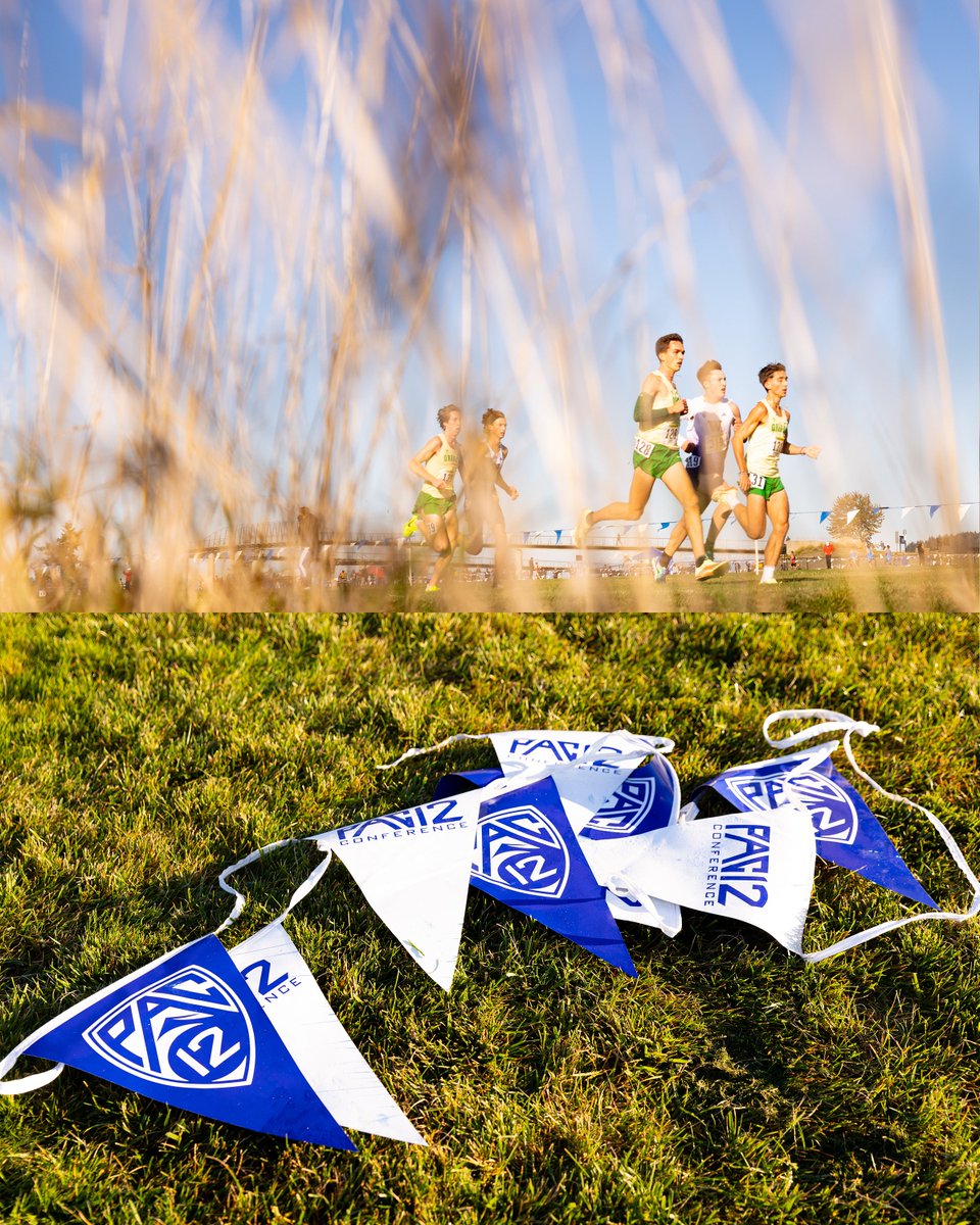 Howard Lao tweet media