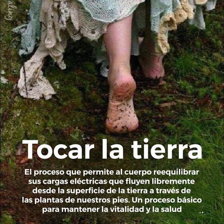 EcoInventos's tweet photo. Tocar la tierra 💚 https://t.co/S1L2lb6mLI