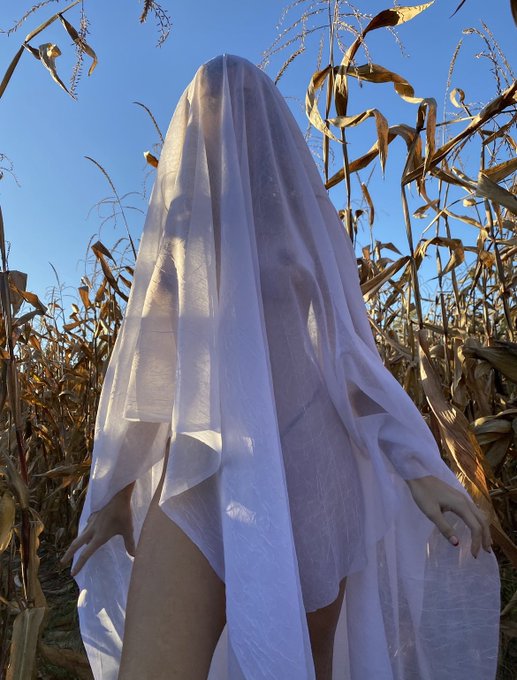 BOO! Our spooky site is free today. 👻 https://t.co/fSUmDre1j3