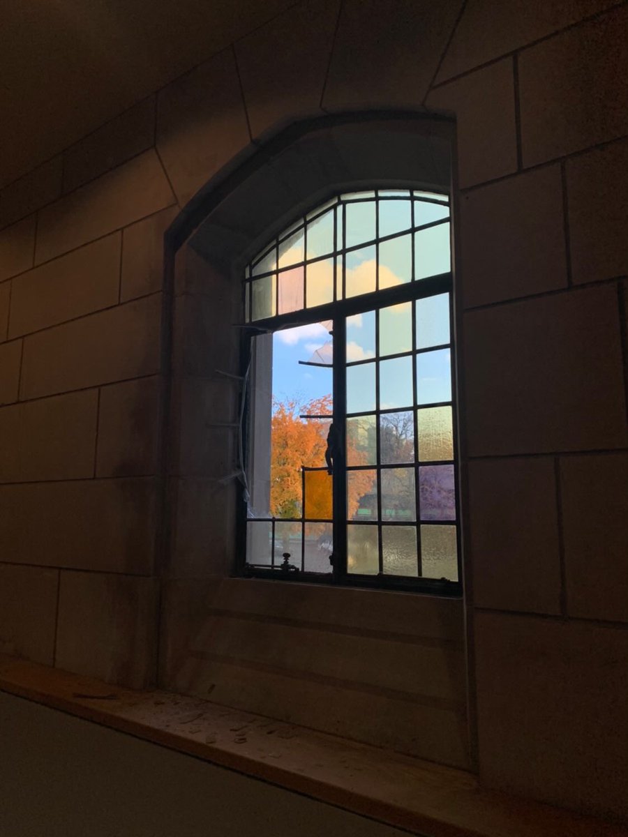 An image of the window the deer jumped through to get into the library