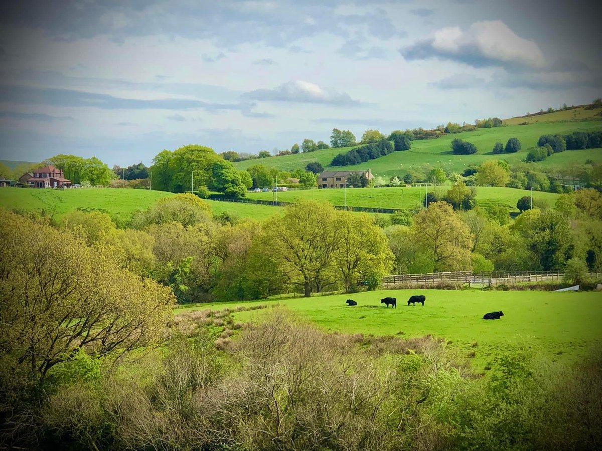 Our labour council in Tameside is mindful to approve building on the greenbelt for 2150 houses on Wednesday the 1st November.  Will the conservatives step in to stop it? Is greenbelt actually “precious” <a href="/rowenamason/">Rowena Mason</a> <a href="/JasonGroves1/">Jason Groves</a> <a href="/benrileysmith/">Ben Riley-Smith</a> <a href="/NatashaC/">Natasha Clark</a> <a href="/RishiSunak/">Rishi Sunak</a> <a href="/michaelgove/">Michael Gove</a>