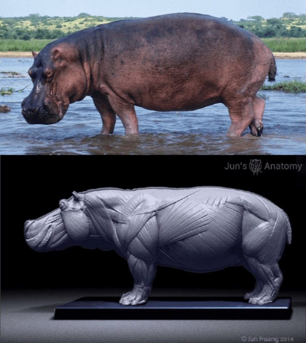 JT | Jerry Teixeira tweet media