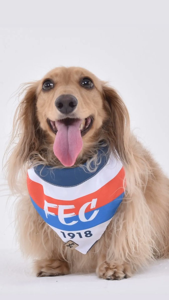 BoBe_Store's tweet photo. @FortalezaEC FEC !! https://t.co/C0nLDiw7GB