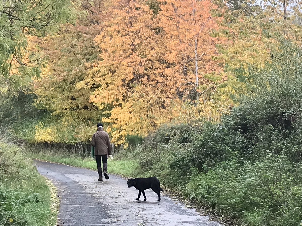 Thehenlady's tweet photo. Making the most of a dry day in the midst of rainy ones - no sun but glimpses of blue sky. Saw more flooding & overflowing streams than after Storm Babet #Kilham #ScottishBorders https://t.co/H4YHZNfH89