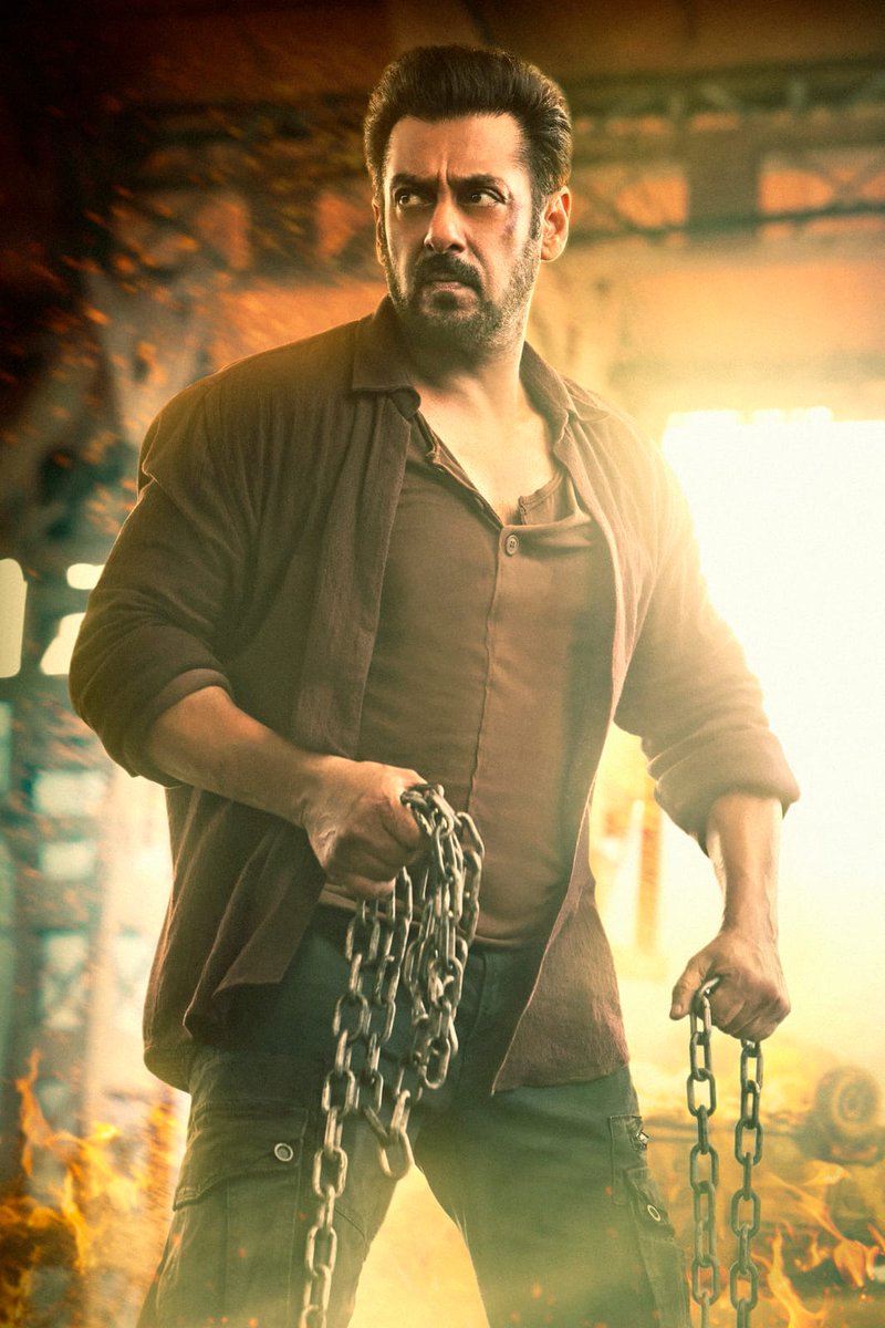 Just 2 weeks to Tiger 3. 🔥

#SalmanKhan #Tiger3