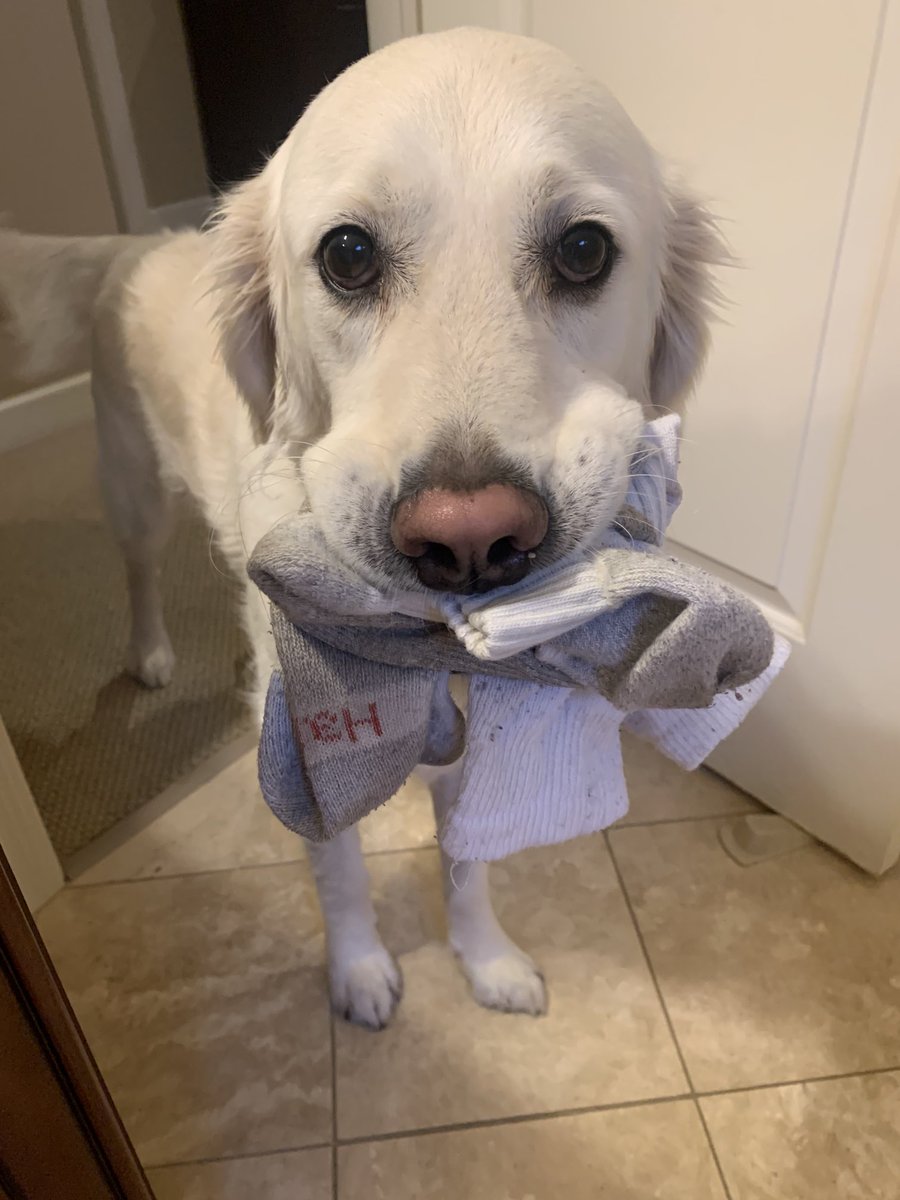 Dan Bernstein tweet media