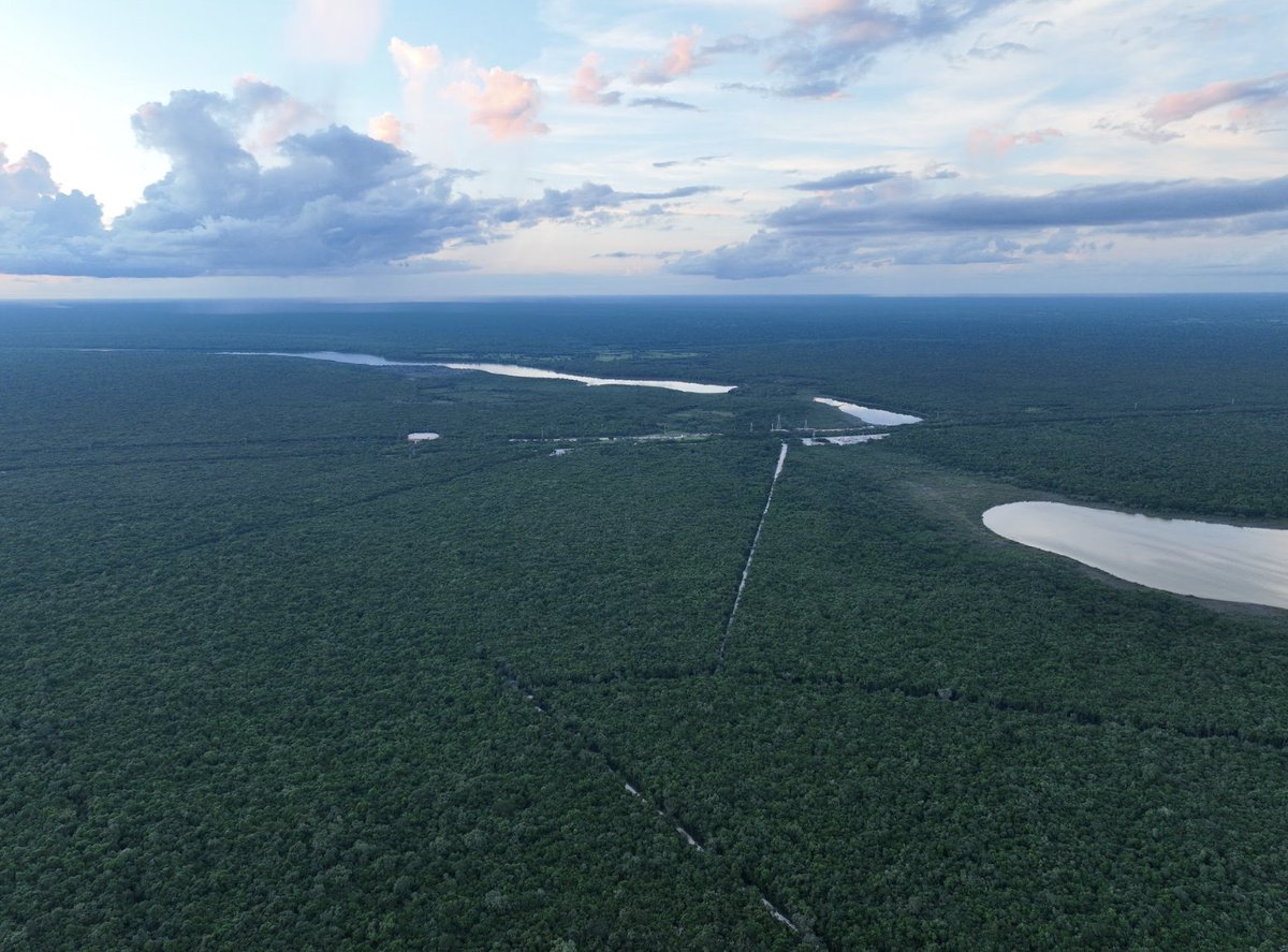 Al norte de laguna #Bacalar el #TrenMaya corta flujo de agua, otrora corriente superficial, con construcción de subestación eléctrica en medio de la selva. Los desastres no son naturales <a href="/SEMARNAT_mx/">SEMARNAT México</a> <a href="/rontribunal/">International Rights of Nature Tribunal</a> <a href="/CEMDA/">CEMDA</a> <a href="/Cartocritica/">CartoCrítica</a> <a href="/AguaClaraQRoo/">Agua Clara Ciudadanos Por Bacalar, A.C.</a>