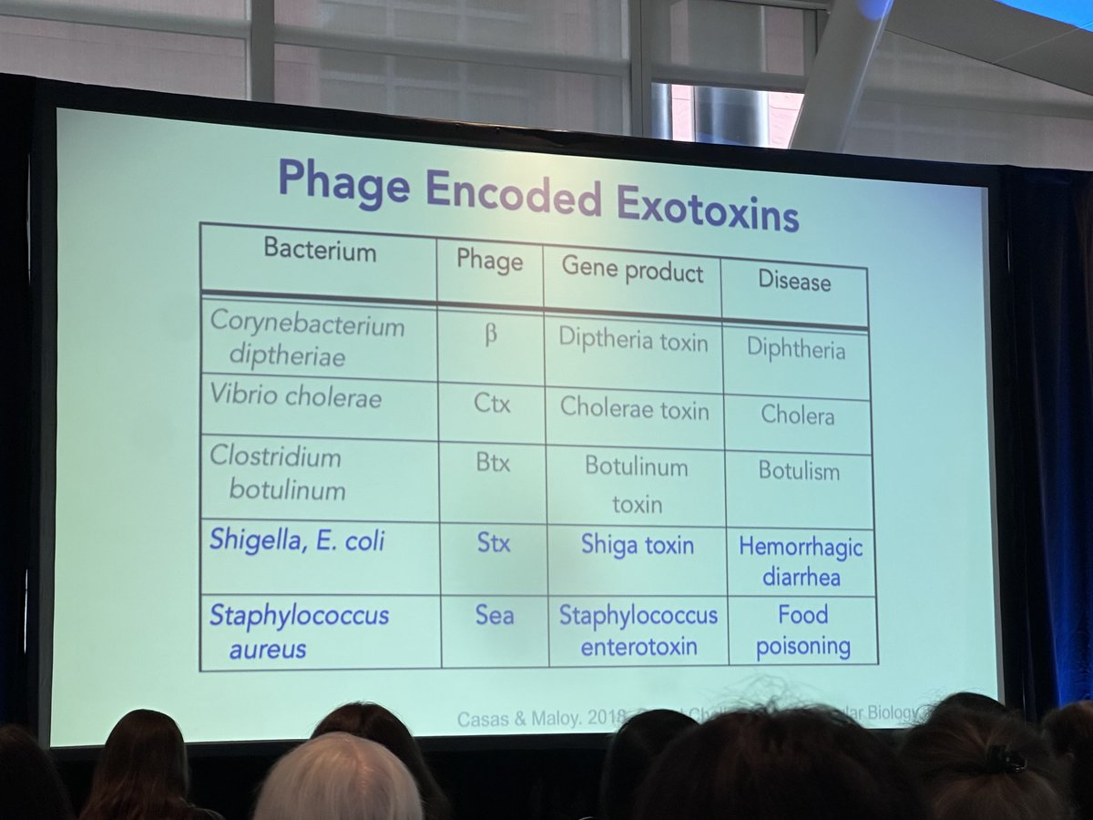 SBtotheDub's tweet photo. Friend AND foe… bacteriophage for treatment of AMR bacteria (helping us) &amp; bacteriophage encoded toxins (hurting us) - so cool! #SCASM23 https://t.co/okUQagz2sk