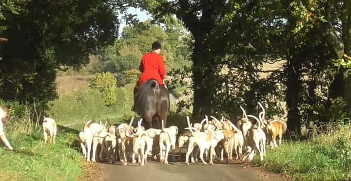 Norfolk/Suffolk Hunt Saboteurs tweet media