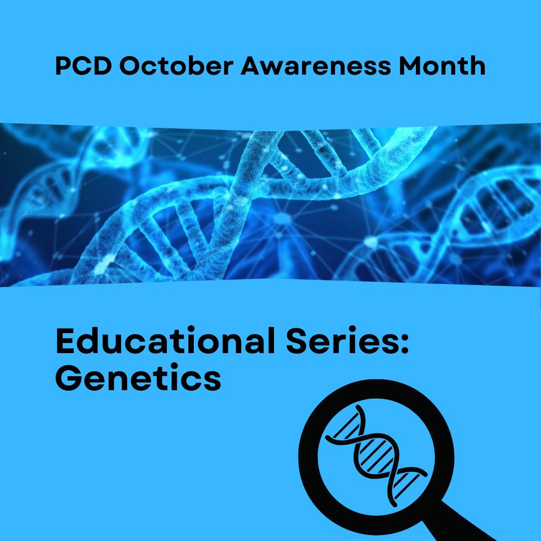 PCDFoundation's tweet photo. 2nd blog in the 'PCD Awareness Month educational series', focused on PCD genetics and upcoming therapies. ! Click below to learn more!
https://t.co/WE37xN1zVA
#PCDawarenessMonth2023 #cleartheway4pcd #pcdgenetics https://t.co/Eu5NHbO0MM