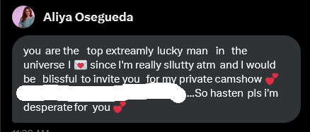 TheDreamProfit's tweet image. @AliyaOsegu5023 #spambot #bot #ScamAlert #RomanceScam #scammer #FakeAccount