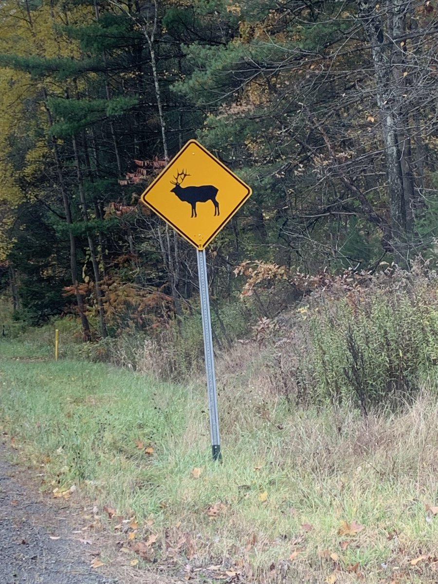 SOJ203's tweet image. 🌄Embark on an unforgettable journey along Elk Scenic Drive in the Pennsylvania Wilds! The Elk Crossing signs are your guide to spotting these incredible creatures. 🦌#NatureLovers #ExplorePA #ShawnsOutdoorJourneys